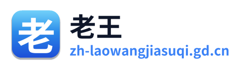 老王加速器 Logo